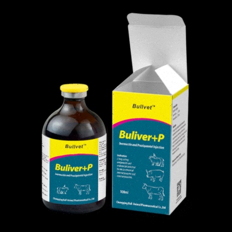 Praziquantel Rezeptfrei Deutschland Apotheke